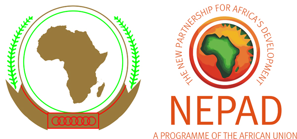 NEPAD: Why do the African development programs just fad and die?