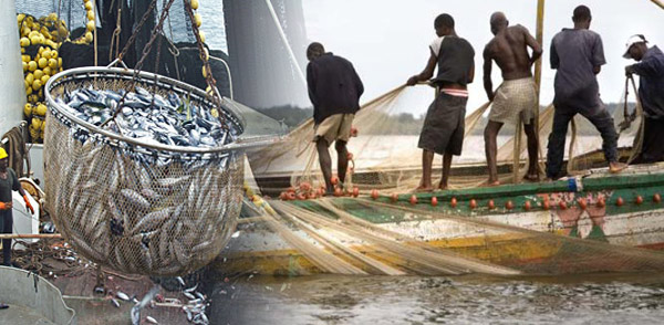 Artisanal fisheries