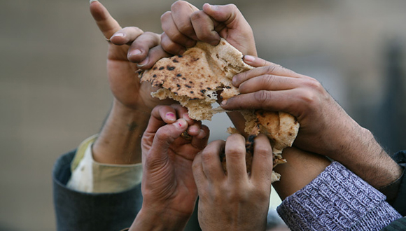 sarkozy-food-crisis